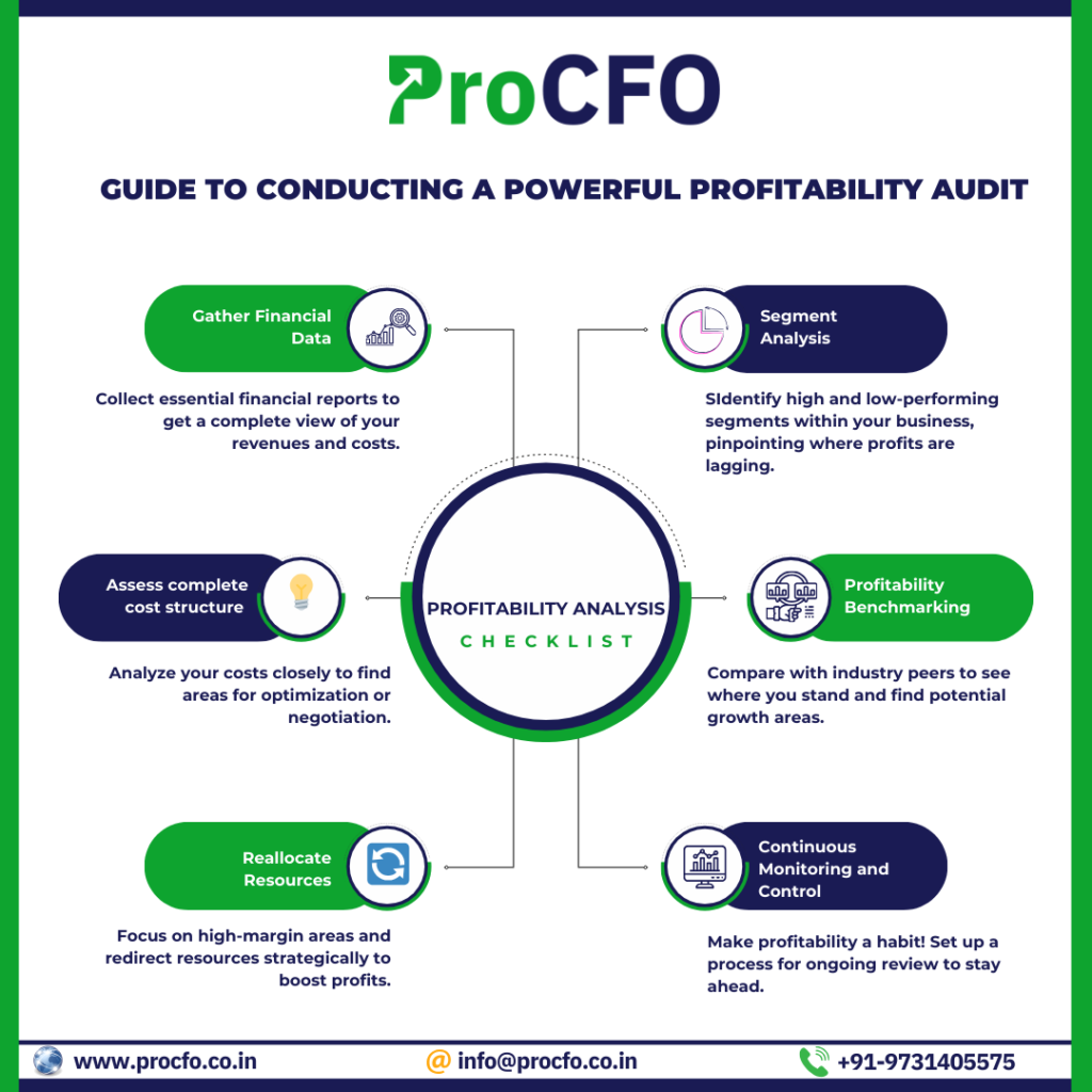 Illustration of a profitability audit process with various analysis components, including product lines, geographical regions, growth areas, and revenue sources, connected by arrows showing resource allocation and focus shifts